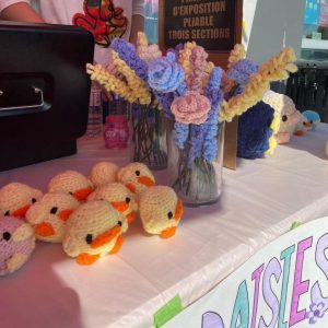 Ducks & Daisies products at a recent sale
